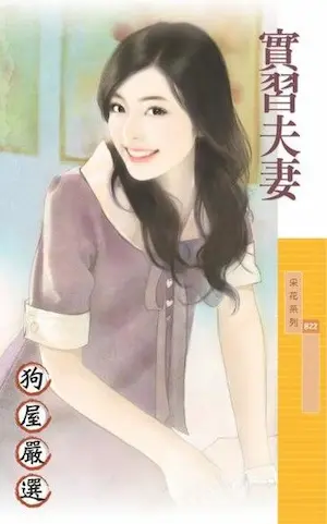 辛蕾《實習夫妻》封面