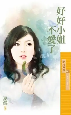 夏灩《好好小姐不愛了》封面