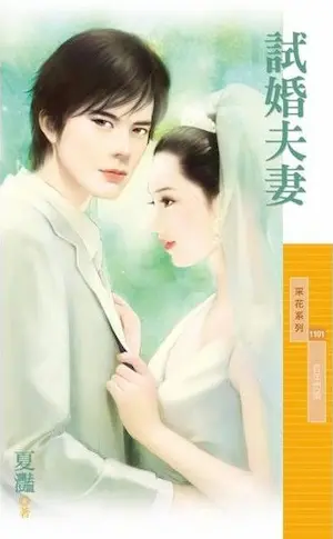 夏灩《試婚夫妻》封面