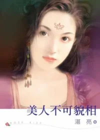 湛亮《美人不可貌相》封面