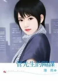 湛亮《管先生的陽謀》封面