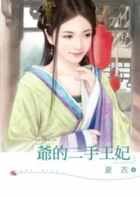 夏衣《爺的二手王妃》封面