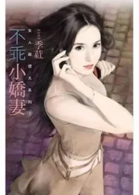 季葒《不乖小嬌妻》封面
