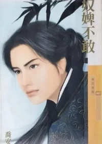 喬安《奴婢不敢》封面