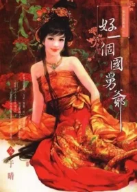 于晴《好一個國舅爺》封面