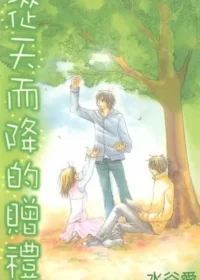 水谷愛《從天而降的贈禮》封面