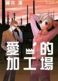 藤井滿《愛的加工場》封面