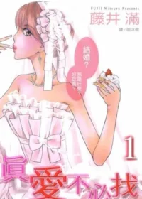 藤井滿《真愛不必找 1》封面