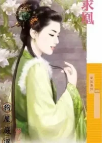 梁心《求凰》封面