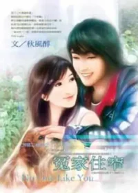 秋風醉《冤家住窄》封面