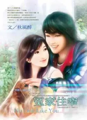 秋風醉《冤家住窄》封面