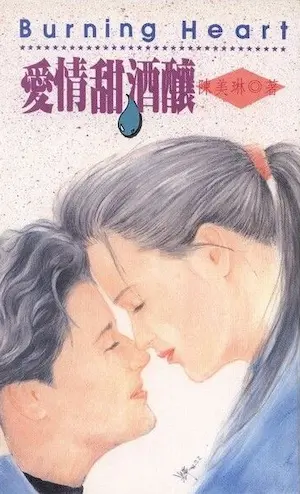 陳美琳《愛情甜酒釀》封面