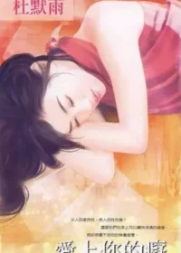 杜默雨《愛上你的癡》封面