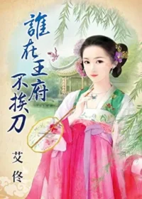 艾佟《誰在王府不挨刀》封面