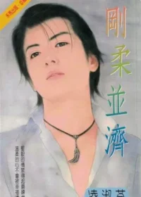 凌淑芬《剛柔並濟》封面