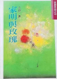 亦舒《家明與玫瑰》林白出版封面