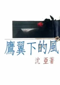 沈亞《鷹翼下的風》封面