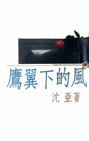 沈亞《鷹翼下的風》封面