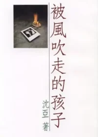 沈亞言情小說《被風吹走的孩子》封面