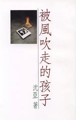 沈亞言情小說《被風吹走的孩子》封面