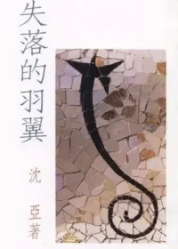 沈亞《失落的羽翼》封面