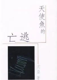 沈亞《天使魚的逃亡》封面