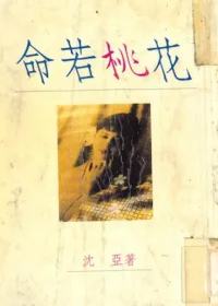沈亞言情小說《命若桃花》封面