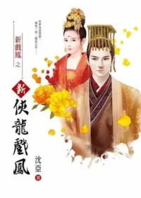 沈亞《新俠龍戲鳳》封面