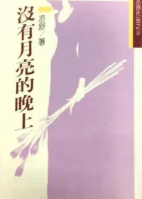 亦舒《沒有月亮的晚上》林白出版封面