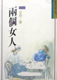 亦舒《兩個女人》林白出版封面