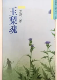 亦舒《玉梨魂》林白出版封面