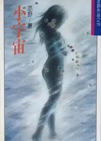 亦舒《小宇宙》林白出版封面