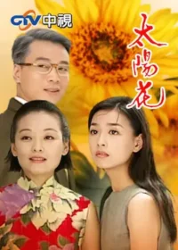 中視「花系列」電視劇《太陽花》封面圖片