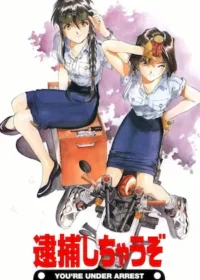 警花逮捕令(逮捕しちゃうぞ)動畫圖片