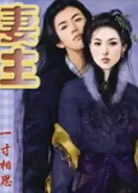 一寸相思《妻主》封面