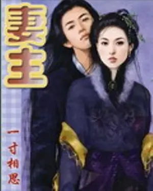 一寸相思《妻主》封面