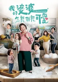 台劇《我的婆婆怎麼那麼可愛》第一季宣傳海報