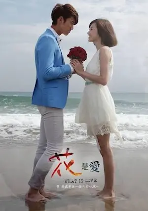 台劇《花是愛》宣傳海報