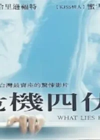 《危機四伏》台版VCD封面