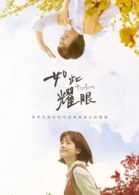 韓劇《如此耀眼》台版宣傳海報