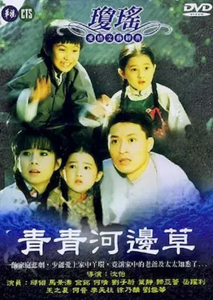 台灣電視劇《青青河邊草》DVD封面