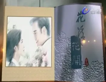 台灣連續劇《花落花開》標題畫面